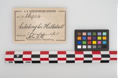Etikett zu Tiergelenksknochen (NHMW-PRAE-026904)